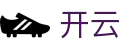 开云体育世界杯球员数据竞猜专区